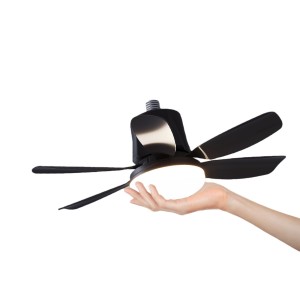 New lighting fan two-in-one remote control ceiling fan light